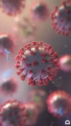 Anticorpos destruindo um Virus #enfermagem  #medicina #nurse #anatomia 