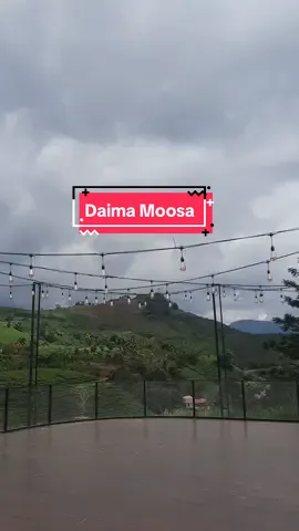 Daima Moosa-Caffe #sumatera #sumaterabarat #padang #solok #glamping #alahanpanjang #cafe #makan #makanpadang #glamping 