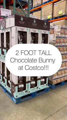 2 foot tall gourmet chocolate bunny at Costco!!!