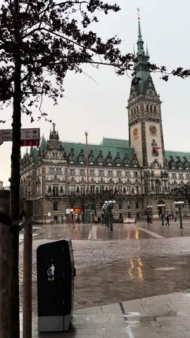 Hamburgo - Alemania 🇩🇪  #hamburgo #germany #alemania #deutchland #ayuntamiento #cold #frío #winter 
