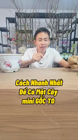 Cách Nhanh Nhất Để Coa Cây Mini #trongcay #caymini #tronghoa #lamvuon #nongdan #nutrimix #namxelan90 