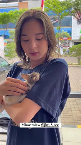so cute yang pegang kucing😁🤫#ancika1995 #zee #zoya #jkt48zee #zeejkt48 #zeejkt48🦖 #aziziasadel #jkt48 #jkt48newera #jkt48one #fyp #pyfツviral_❤ 