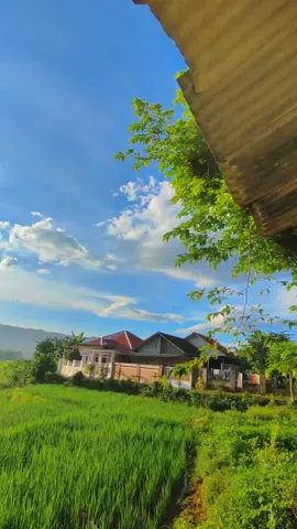 #kampunghalaman #lagusunda #kampung #pesawahandipedesaan 