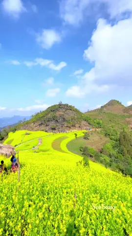 Bản nhạc buồn nhất mùa đông 2023 .#nkaujkhosiab #nguoivungcao #cuocsongvungcao #nhipsongtaybac 