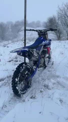 Beast😈☠️ #fyp #foryou #шибанимотористи #yamaha #450 #yzf 