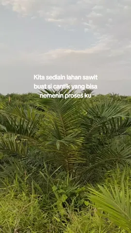 walaupun ga lebar setidaknya ada 🤘🏻#petaniindonesia🇮🇩🇮🇩🇮🇩🌿🌿 #sawittiktok #tukanglansir #kurirsawit #kulitampan #petaniindonesia🇮🇩🇮🇩🇮🇩🌿🌿 #fyp #kebunsawit #pemayongan #sawitindonesia #sawitkalimantan #sawitjambi #aktorsawit #lahansawit #kuli 
