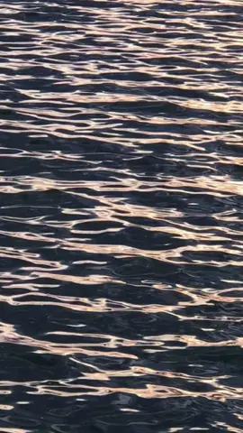 emang boleh se-someone to stay ini?