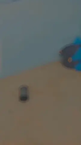 #CapCut 
