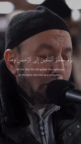 #محمد_جبريل #سورة_مريم #قرآن #قرآن_كريم #quran #quranrecitation 