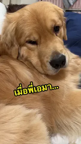 เมื่อพี่เอมา… แป้นกลายเป็นส่วนเกินทันที #จุ๊มเหม่งเจไดใจดี 