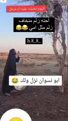 #مقاطع_ضحك  #مقاطع_تحشيش_لضحك🤪😂 #ابو_النسوان😂😂😂😂😂😂 #انزل_ولك_انزل🤔😉🤫 #تصميم_فيديوهات🎶🎤🎬 