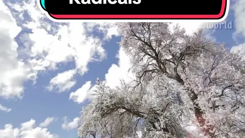 Remember this song: You Get What You Give 💙 New Radicals.  #80s #90s #ilove80s #lembrar #musicapararelembrar #recordar #musicapararecordar #amor❤️ #pareja #casal #newradicals 