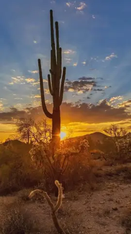 A vida é uma caixinha de supresa, Seja Feliz e viva a vida❤ #vida #sertao #sertaodonordeste🌵 #sejacr 