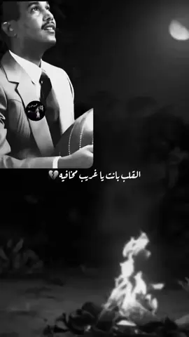 طال السهر والهجر بانت مواريه #محمد_عبده #fypシ 