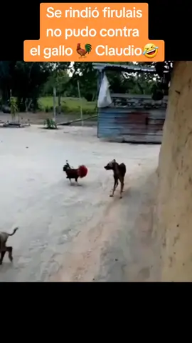 Y se verán cosas 😲🤣🤣😲