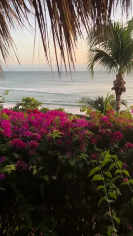 how? #views #beach #pretty #fyp 