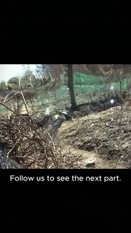 Raggedly Dog Still Waits For Her Guardian Who Passed Away Part 1 #dog #rescue #rescuedog