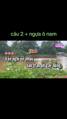 #karaoke#tanco#Tình trong cay đắng#xuhuong#huongnguyen#❤️❤️ 