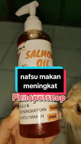 salmon oilnya aku kasih 9,5 / 10 😍😍 bagus banget, anabul jadi sehat, gembul dan makannya lahap banget !!! #salmonoil #salmonoilfordogs #salmonoilforcats #salmonoilfordogsandcats #minyakikan #minyakikansalmon #CapCut 