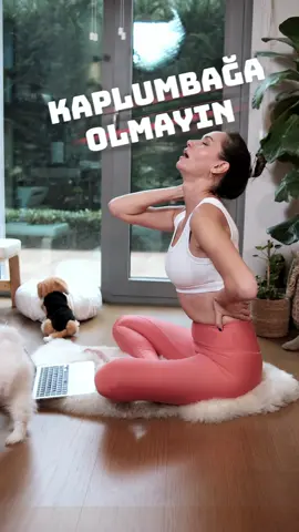 🐢 Kaplumbağa Olmadan Önce Boynunu Rahatlat🐢 Merhaba🌟  Günümüzde telefon ve bilgisayar kullanımı nedeniyle boynumuz kaplumbağa gibi öne düşmekte.  Bu sorunun çözümünde destek olacak harika hareketleri sizinle paylaşıyorum! 😅 İşte hareketlerin detayları; 1. Hareket: 'Yakala ve Serbest Bırak' 🤝  Sağ elinle sol dirseğinden tut, nazikçe aşağıya çek ve başını sağa düşür.  Aynı hareketi diğer tarafta da yaparak her iki tarafta 5 nefes boyunca keyfini çıkar. 🌬️ 2. Hareket: 'Seyahat Yastığı Rotasyonu' 🌍  Kulaklarına doğru omuzlarını çek, başını hafifçe geriye yasla ve seyahat yastığı gibi bir sağa, bir sola çevir.  Bu keyifli 'ev gezisi'ni 10 kez tekrar et. 🔄 🚀 Sağlıklı günler dilerim! 💪  ⚠️Herhangi bir rahatsızlığınız ya da sakatlığınız mevcutsa hareketleri denemeden önce doktorunuza danışmanız önemlidir.⚠️ #boyun #turtleneck #neckpain #neckpainrelief #boyunağrısı #kaplumbağa #egzersiz #evdespor #spor #sportsontiktok #DailyRoutine #Fitness #FitTok #yoga #pilates #workout #sağlıklıyaşam #faydalıbilgiler #keşfet #fypage 