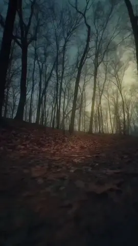 #ترجمتي #اكسبلور #explore #türkşarkıları #arapşarkıları #türkçeçeviri #arapçaçeviri #türkmüzik #arapmüzik #وائل_جسار #مجروح #حاول_تحضن_جرحك_وأنسى 