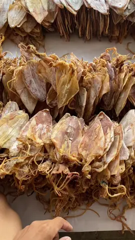 Ready!  DRIED SQUID / CUMI KERING KAYA GIZI DAN PROTEIN - SIZE 10cm KEATAS - DAGING MANIS TIDAK ALOT - DAGING TEBAL - TIDAK LEPAS KULIT - MATA DIBERSIHKAN - BERSIH TANPA KOTORAN DAN TELUR - PROSES PENGERINGAN DARI ANGIN LAUT DIATAS KAPALNYA LANGSUNG - KADAR AIR 15% BISA ECER, GROSIR, DAN PARTAI Whatsapp : 085822228968 Instagram : sotongkering.pontianak Facebook : sotongkeringpontianak