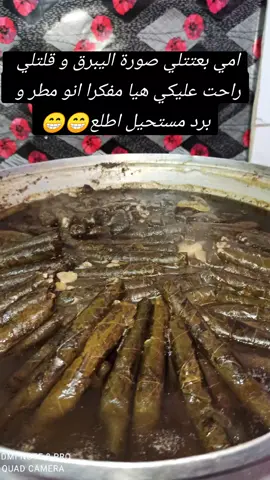 مشواري لعند #اهلي  بلبرد و البوظ🤣🤣#يبرق_حلبي #من_تحت_ديات_امي 😋😍#فلوق_سريع 😂#ام_محمد❤️✨ #تصويري📸 #explor #fypシ #يبرق 