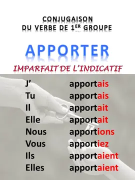 #langue  #français  #shorts  #verbe  #conjugaison  #apporter  #imparfait 
