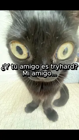 Jugando Lethal Company por primera vez #lethalcompany #twitch  #lethalcompanygame #gamer #GamerGirl #lethalcompanyfunnymoments 