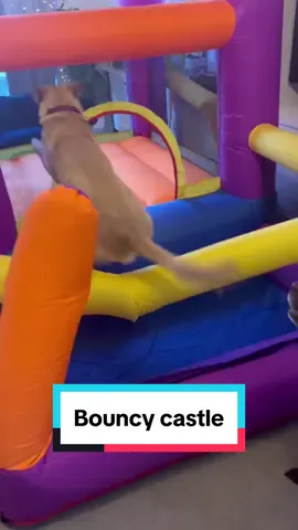 It was fun while it lasted 🤪