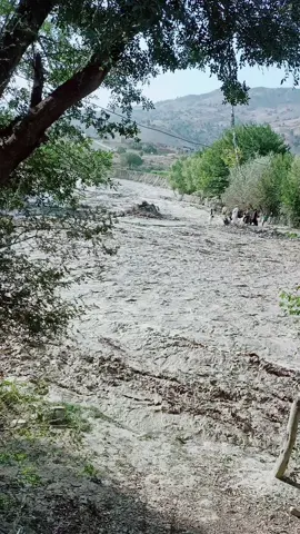 #😭😭😭 #faryou_tiktok_viral_video_faryour_page #افغانستان🇦🇫🇦🇫🇦🇫 #😭😭😭😭😭😭😥😥😢😢 #foryou #foryoupage #plaeseviral 