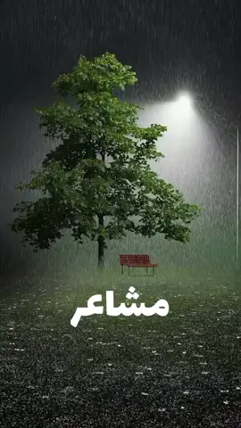 #شيرين_عبد_الوهاب  #مشاعر 