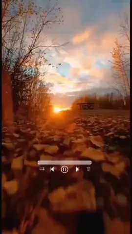 عبدلباست عبدالصمد رحمةلله سورة الحشر