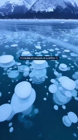 🇨🇦 Alberta, Canada The picturesque Canadian Abraham Lake is a man-made object created during the construction of a dam. This lake is a favorite spot for photographers because its ice cover is dotted with patterns of frozen air bubbles. The reason for the natural phenomenon is simple: methane bubbles produced by plants rise from the bottom of the lake. They freeze at different depths, which creates such an extraordinary visual effect.