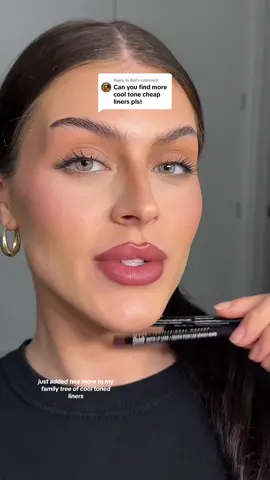 Replying to @Boi people are commenting that theyre having a hard time finding these liners so im dedicated to finding more🫡 #lipliners 