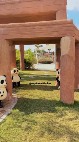 A trip to Panda House 🐼🐼🐼#pandahouse #suhailthuraya #alkhor #qatar #doha #visitqatar #hiaqatar #foryou #foryoupage #fyp اكسبلور# الخليج #الخور #قطر 