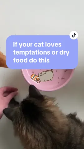 #catsoftiktok #cattok #cathealth #catnutrition #catfood #catfoodtips #drycatfood #kibble #temptation #fancyfeast #cattreats 