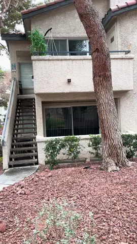 How 😂.                                       #viral #viralvideo #dogs #funny 