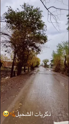 ذكريات شحيل.#❤️🍂#