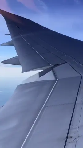 Boeing 787 battling turbulence 🎥: u/PaperPlane36 #aviation #pilot #plane #airplane #fyp #avgeek #boeing #787