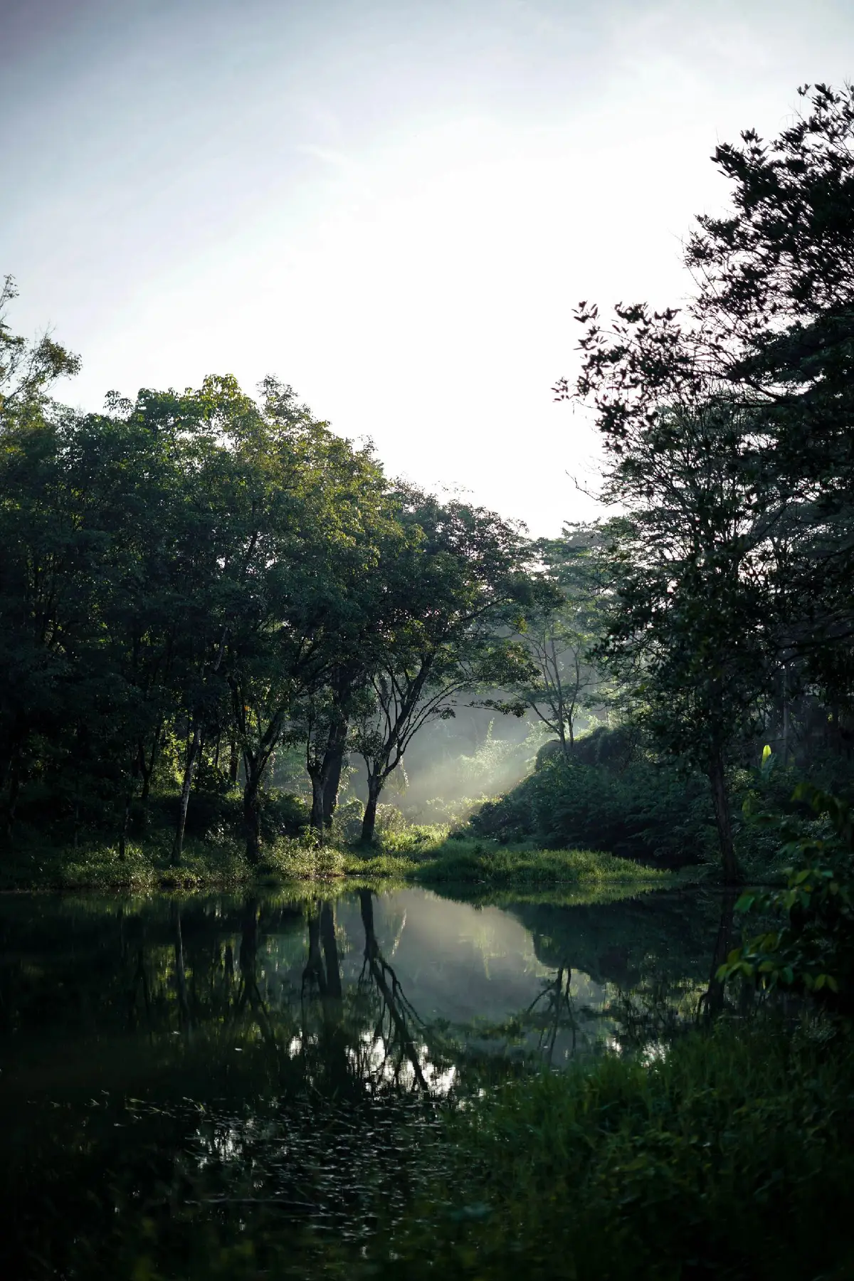 #fyp #fotografi #nature #ipb 