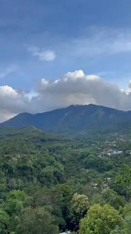 Salah satu dari banyaknya view indah gunung wilis bagian nganjuk..  untuk menuju lokasi ini harus melewati jalan yg licin/blm aspal dan sangat terjal. Lokasi ini tidak jauh dari wilis view ya gaes..!!! #explorenganjuk #pemandanganalam #pemandanganaesthetic #videoaesthetic #foryou #foryoupage #fypシ 