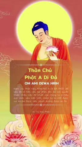 Thần Chú Phật A Di Đà  #loidayphatphap #thanchumattong #phatadida #antrudaophat 
