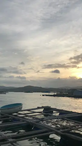 “Lòng người như biển rộng,muốn hiểu hết thì khó lắm”#chill🌆 #đờibịp #tinhyeu💞 #suhuong❤️ #videochill💐 #hoanhon #foryou #biển #xhtiktok #fypシ #xuhuongtiktok #xh 