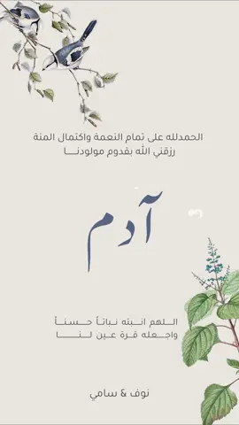بيبي آدم.        #دعوات_الكترونيه #تصميمي #حسب_الطلب #اكسبلور #جديد #ادم #موسيقى #بشارة_مولود #انيق #اول #3D #شعب_الصيني_ماله_حل😂😂 #بقولو_الصبي_لامو_غالي_علقبا 