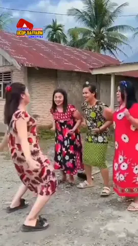 mau ketawa takut dosa video lucu bikin ngakak hiburan warga+62 viral video funny videos funny shorts#Video Lucu Di Tiktok Ngakak Brutal #viraltiktok #funnyvideos #mauketawatakutdosa #hiburawarga62 