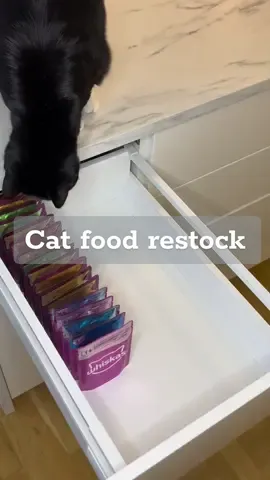 Restocking cat wet food drawer with me and my two cats🐱  #restock #cat #catsoftiktok #restockingasmr #restockingvideo #asmr #organize #organizedhome #organization #catfood #whiskas #wetfood #cattok #fyp #foryou #foryoupage 