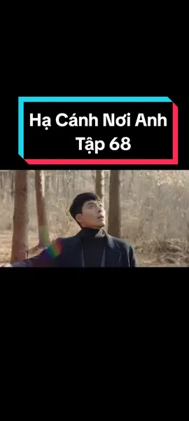 Tập 68: Hạ Cánh Nơi Anh ♥️ #phimhay #phimhaymoingay #hacanhnoianh #sonyejin #hyunbin #shop_gicungban 