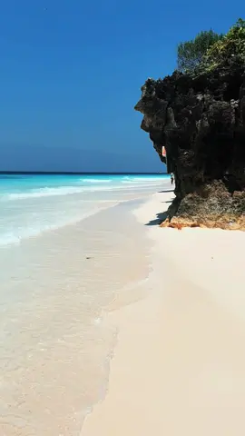 Zanzibar 🇹🇿 #zanzibar #zanzibartiktok #zanzibar🇹🇿 #zanzibardestination #zanzibartanzania #zanzibarbeach #nungwi #nungwibeach #nungwibeachzanzibar #nungwizanzibar #turtles #turtlesoftiktok #sunset #sunsetlover #turtlesanctuary #riu #riujambo #riujambozanzibar #riuhotels  #turtleszanzibar #saveturtles #beach #beachvibes #africa #tanzaniatiktok #tanzaniatiktok🇹🇿 #tanzaniazanzibar #fyp 