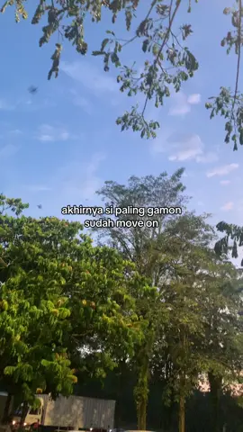 #xyzbca #foryou #fy #4u #galaubrutal 